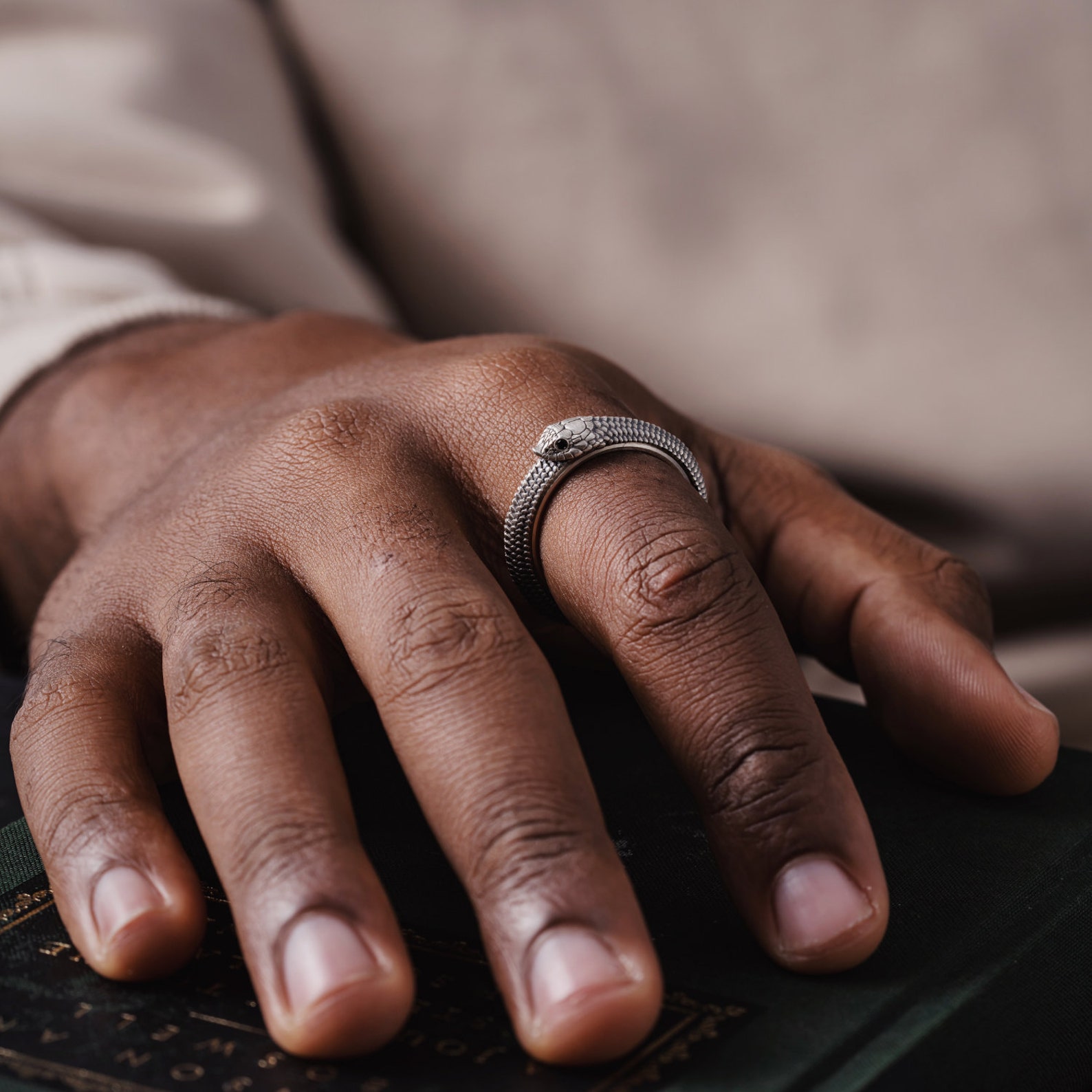 Ouroboros Spin Fidget Ring