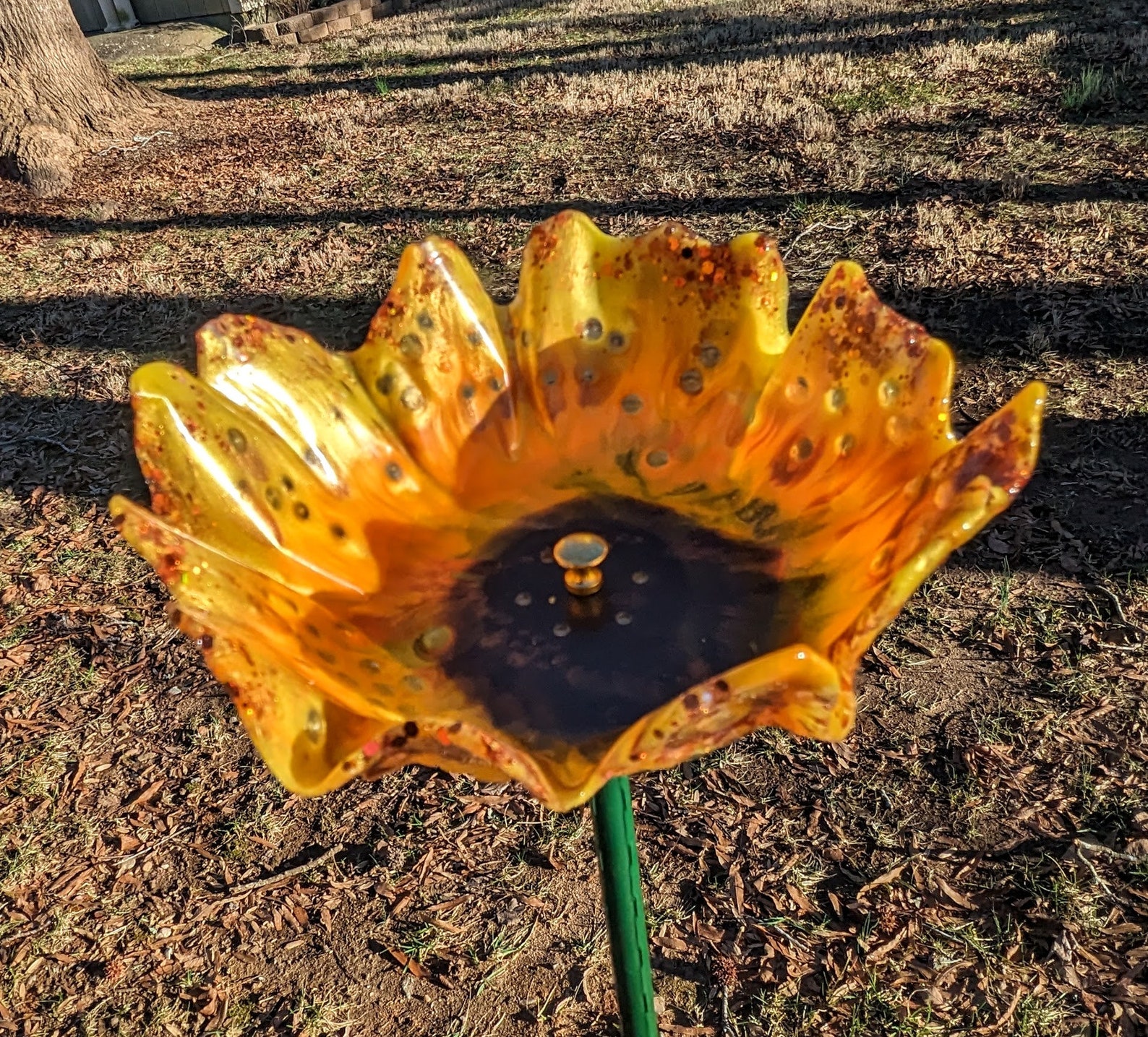 Bird feeder organic flower seed container