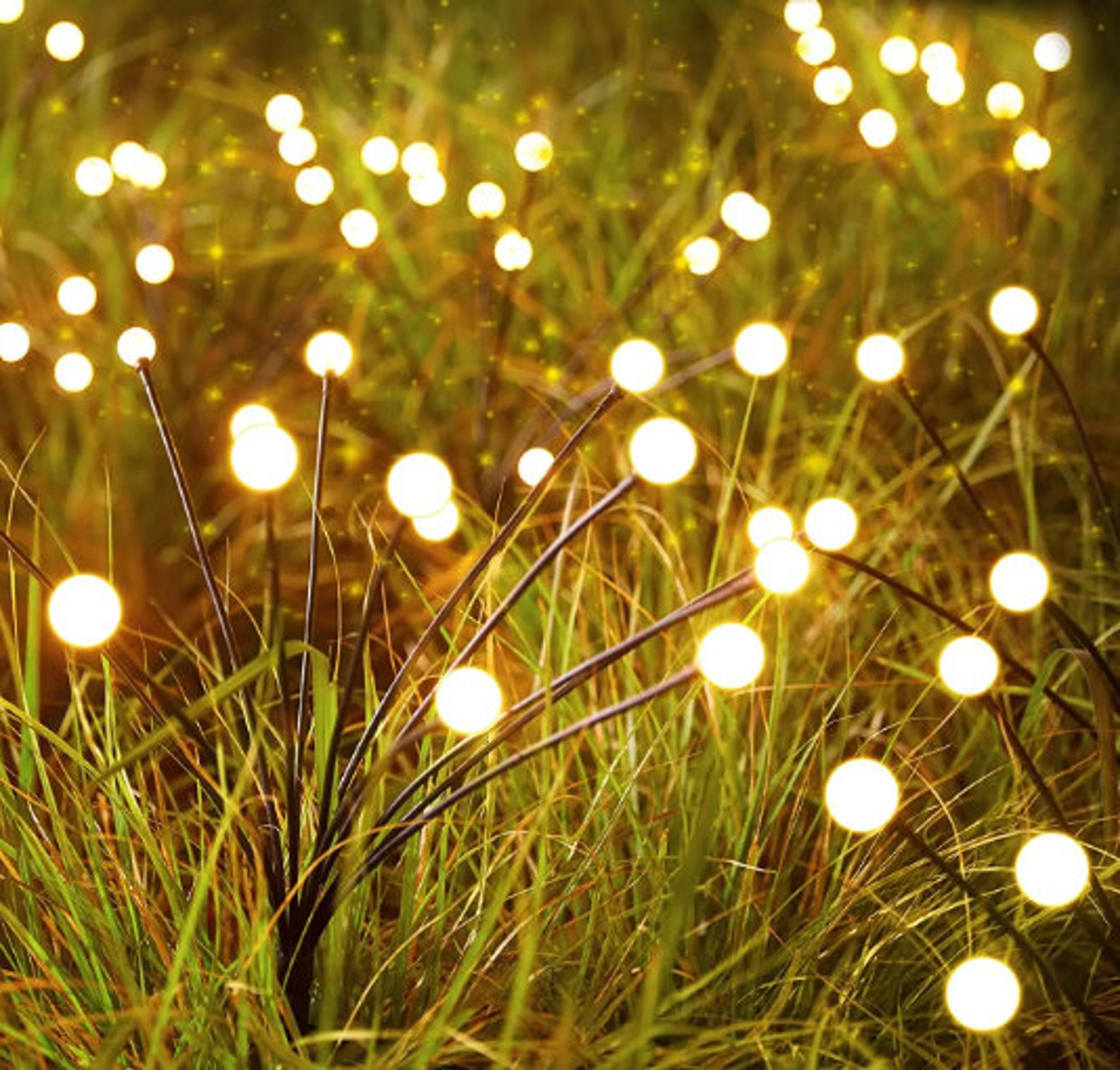 Firefly Solar LED Night Light For Patio Decor