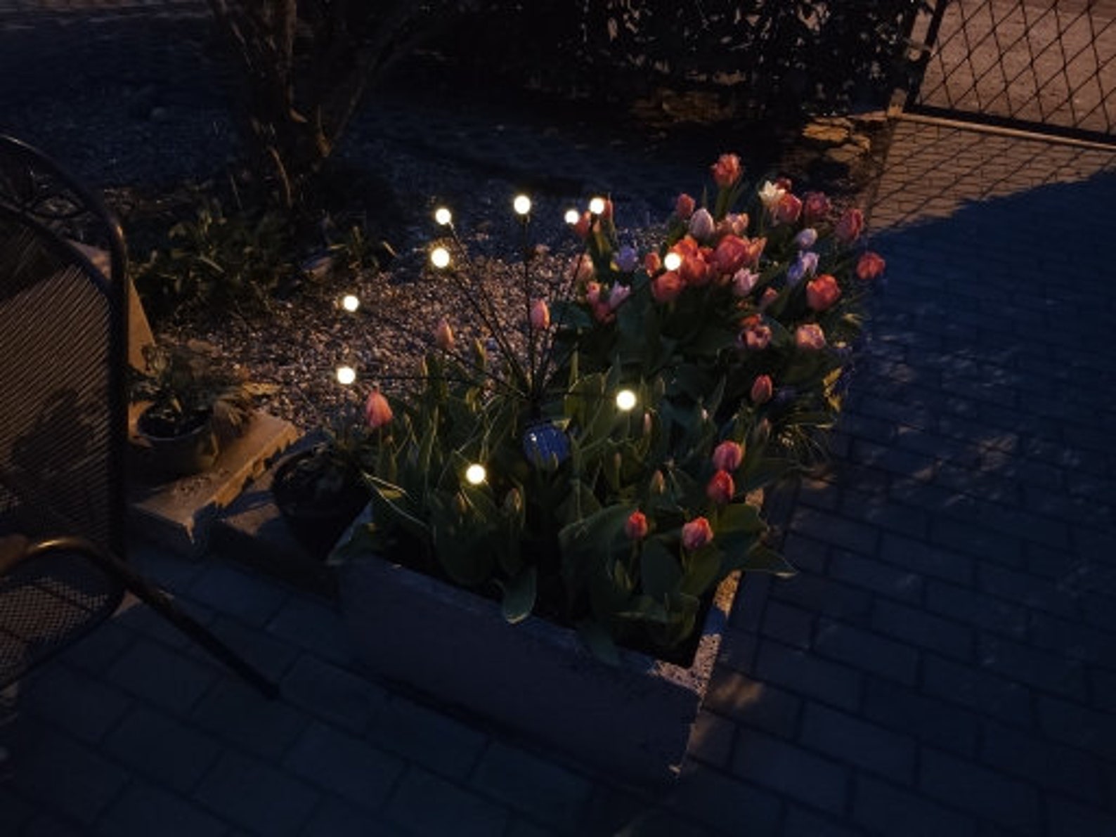 Firefly Solar LED Night Light For Patio Decor