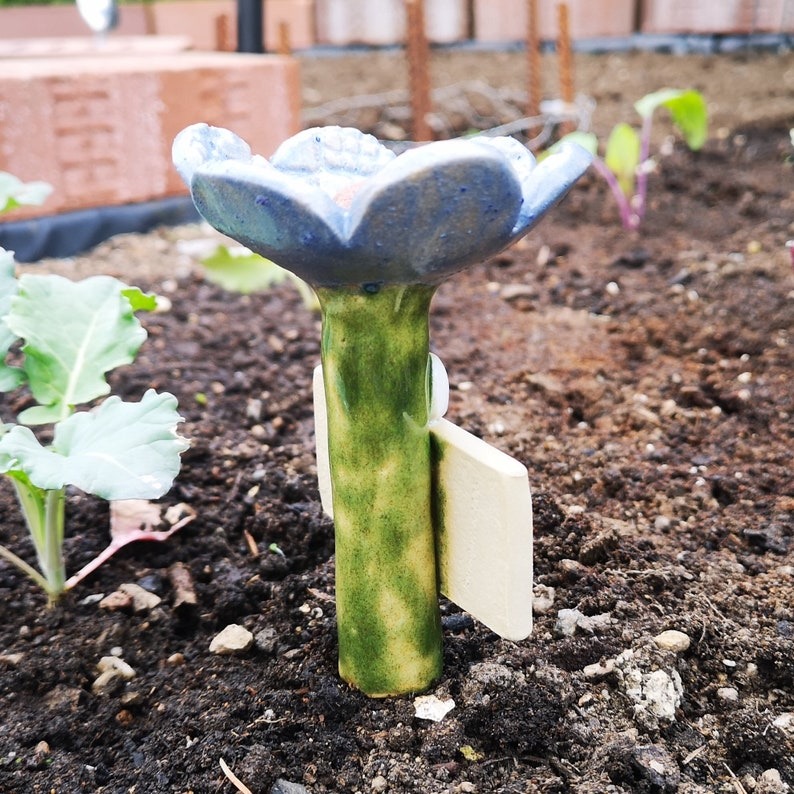 Insect Drinker for Wild Bees