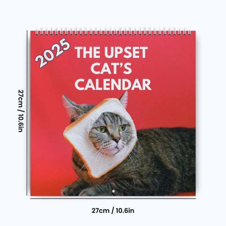 2025 Upset Cats Calendar 