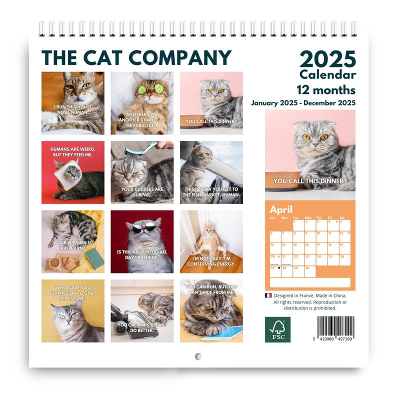 2025 Upset Cats Calendar 