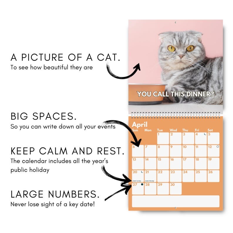 2025 Upset Cats Calendar 