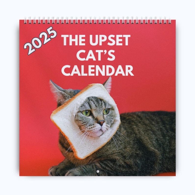 2025 Upset Cats Calendar 