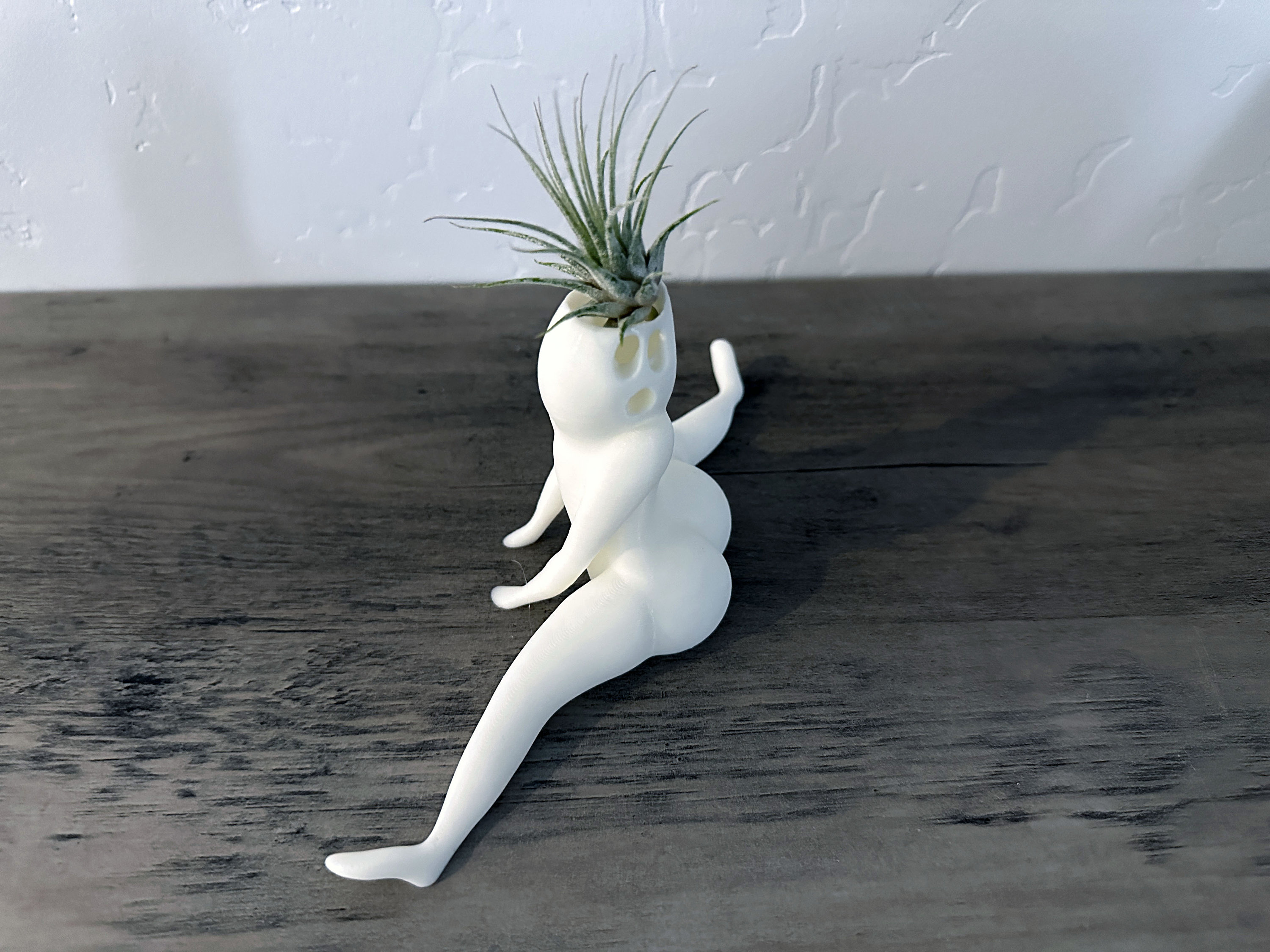 Hilarious Air Plant Display-Big Booty Ghost Planter