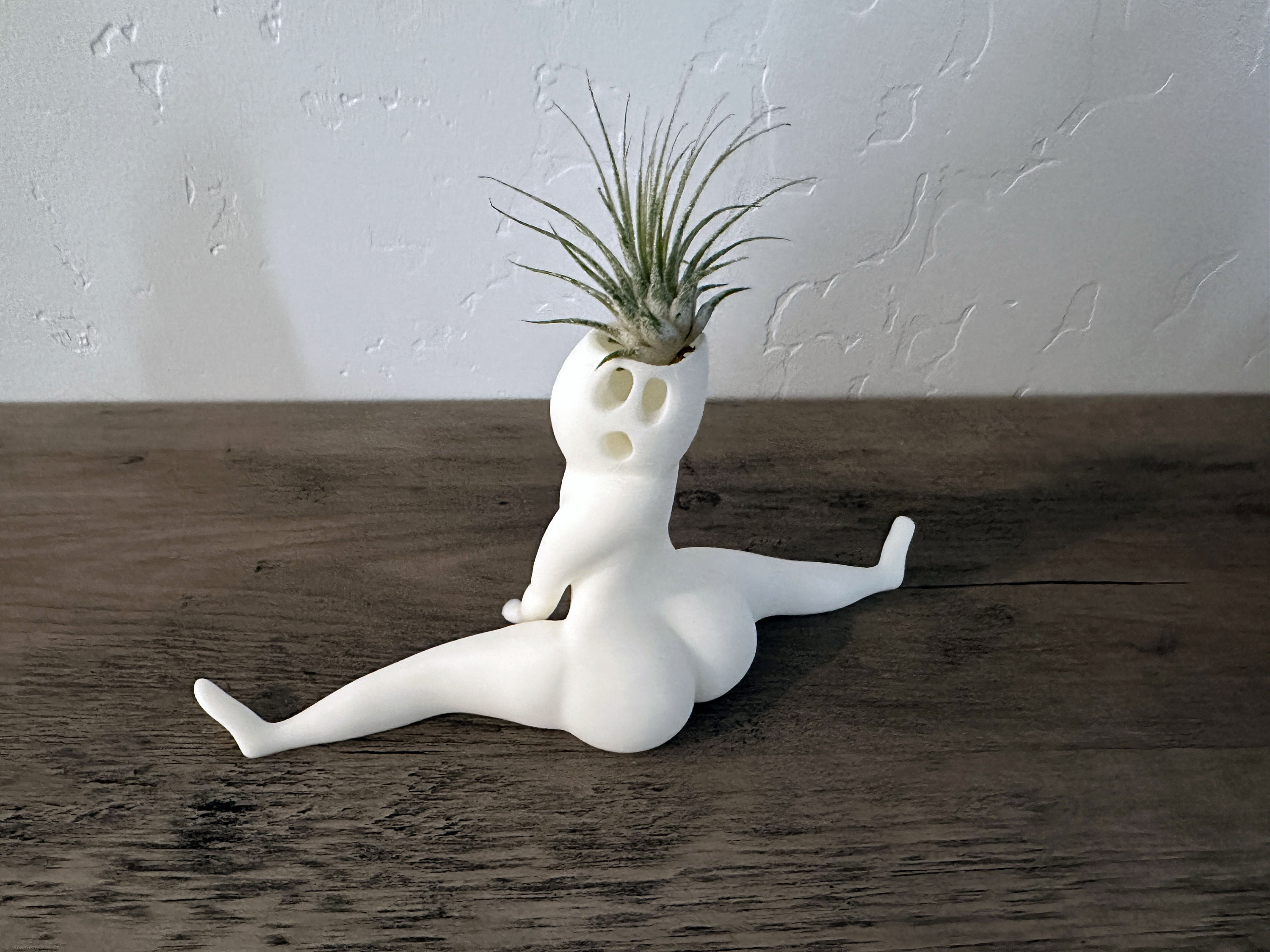 Hilarious Air Plant Display-Big Booty Ghost Planter