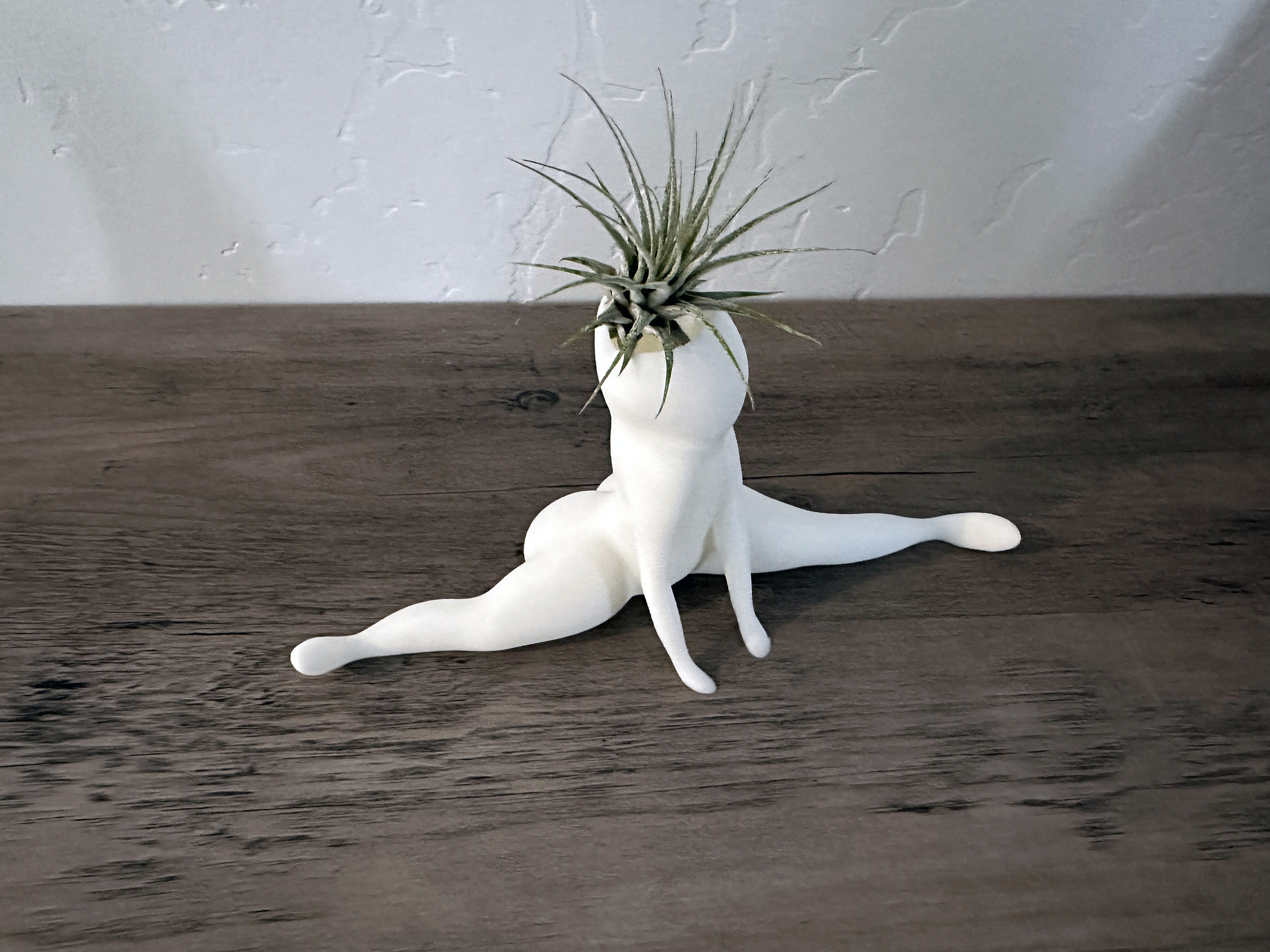 Hilarious Air Plant Display-Big Booty Ghost Planter
