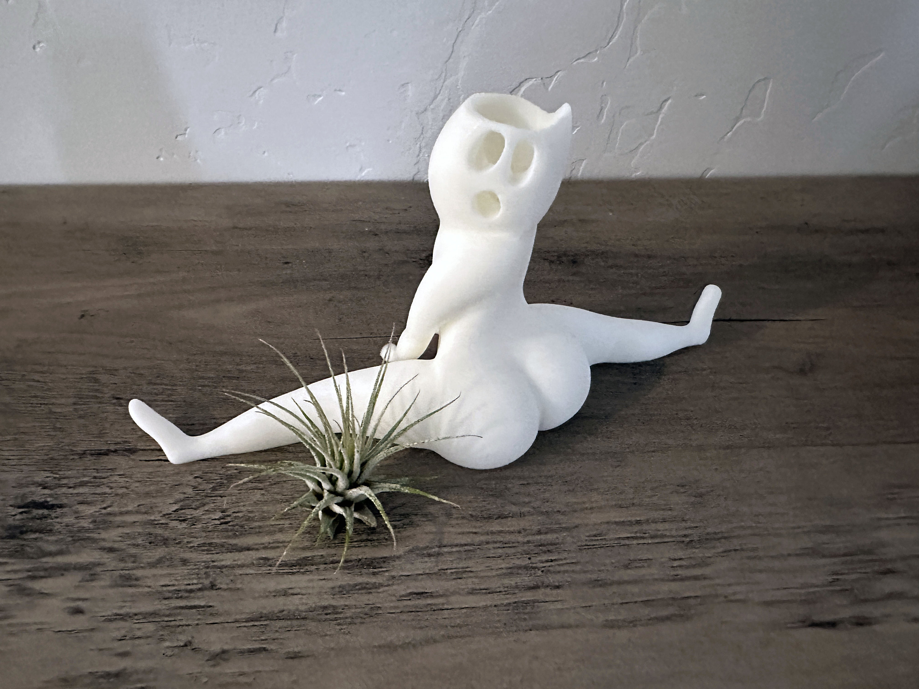 Hilarious Air Plant Display-Big Booty Ghost Planter