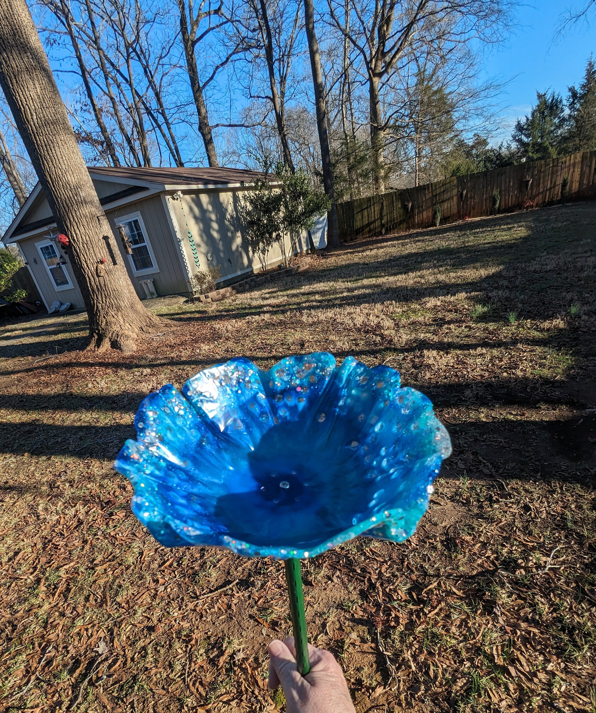 Bird feeder organic flower seed container