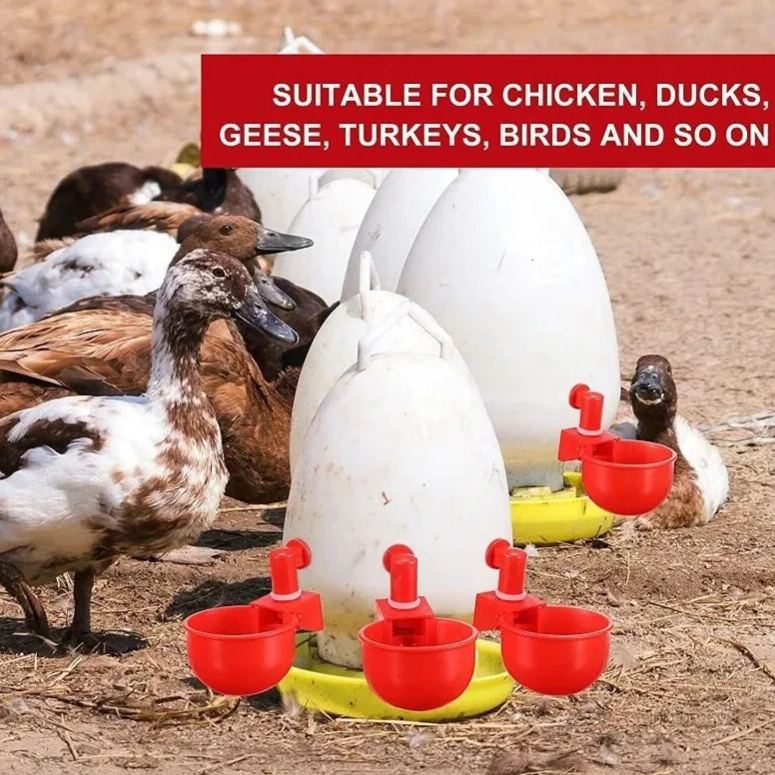 Automatic Chicken Water Cup Bird Coop