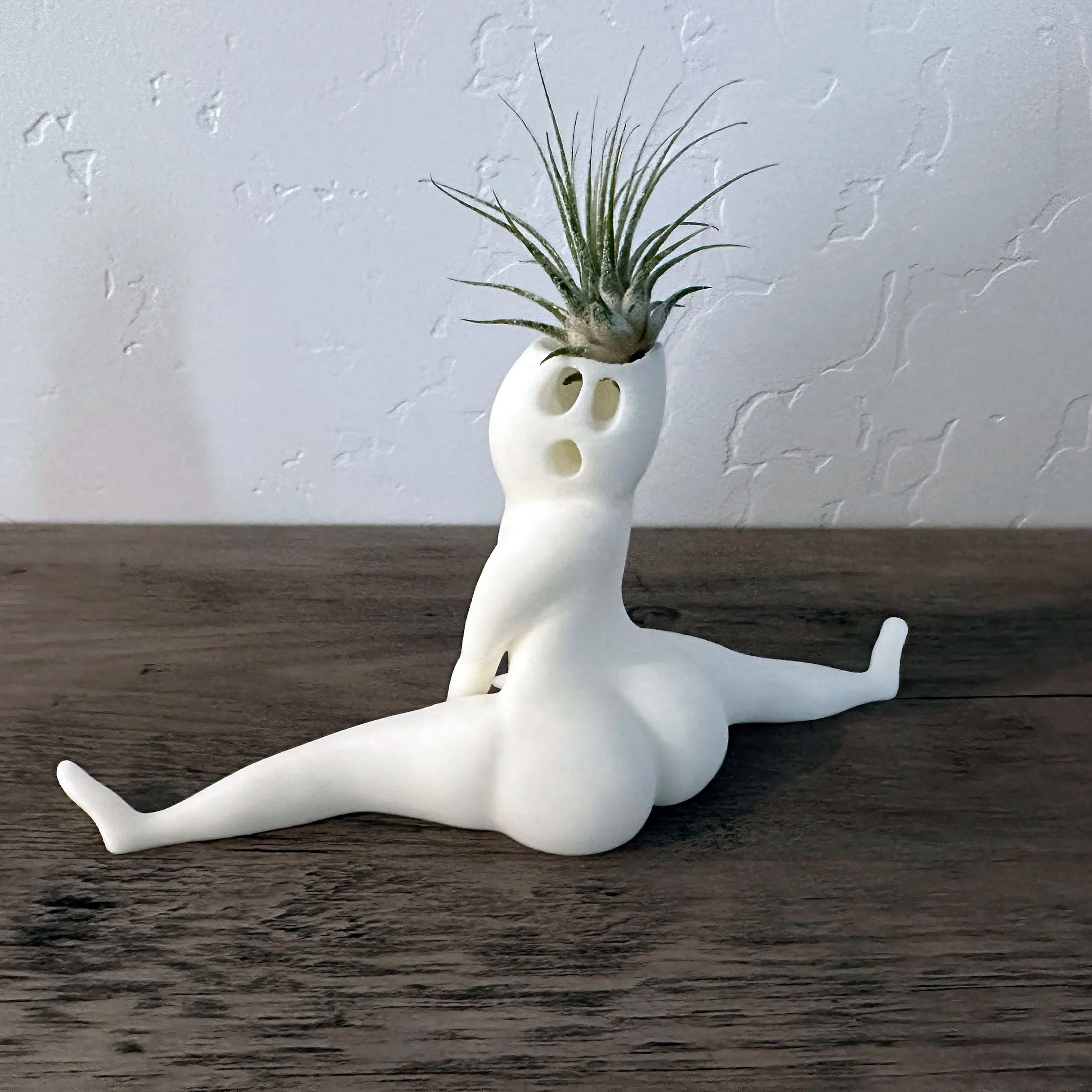 Hilarious Air Plant Display-Big Booty Ghost Planter