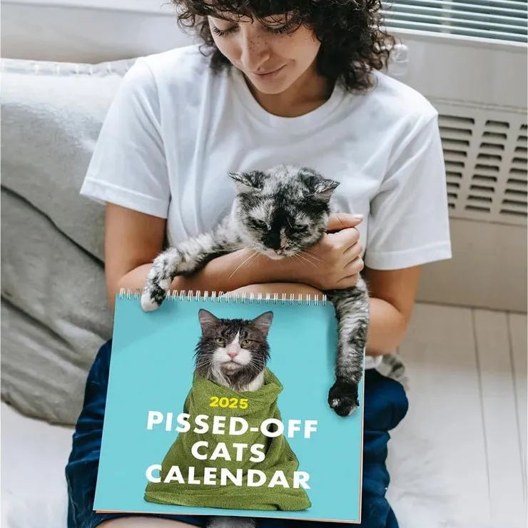 2025 Pissed-Off Cats Calendar