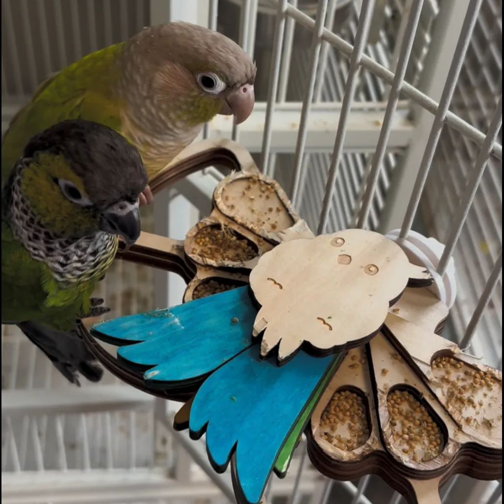 Foraging Toys For Birds