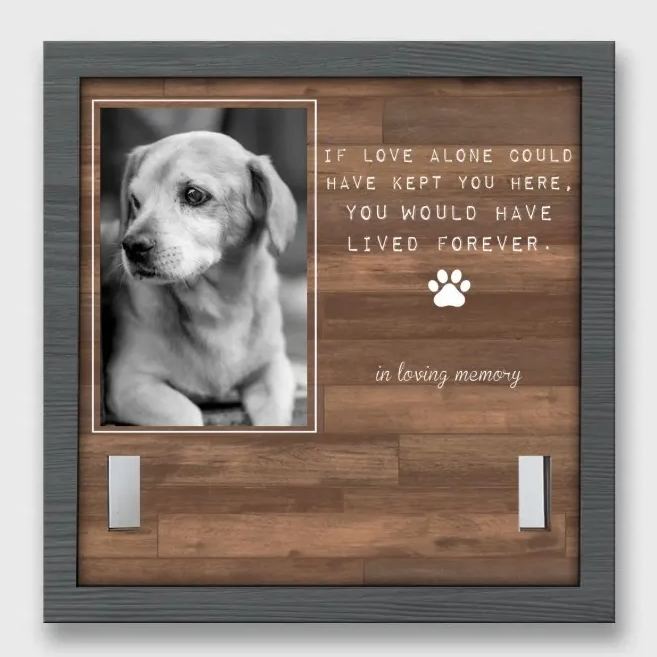 Collar Frame - Personalized Pet Memorial Sympathy Gifts