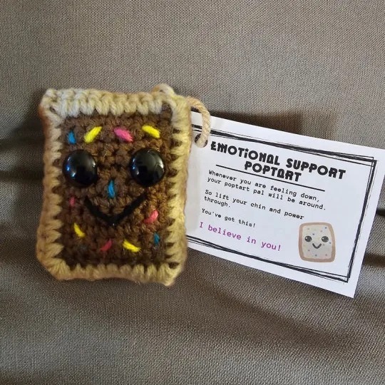 🔥🎁Emotional Support PopTart
