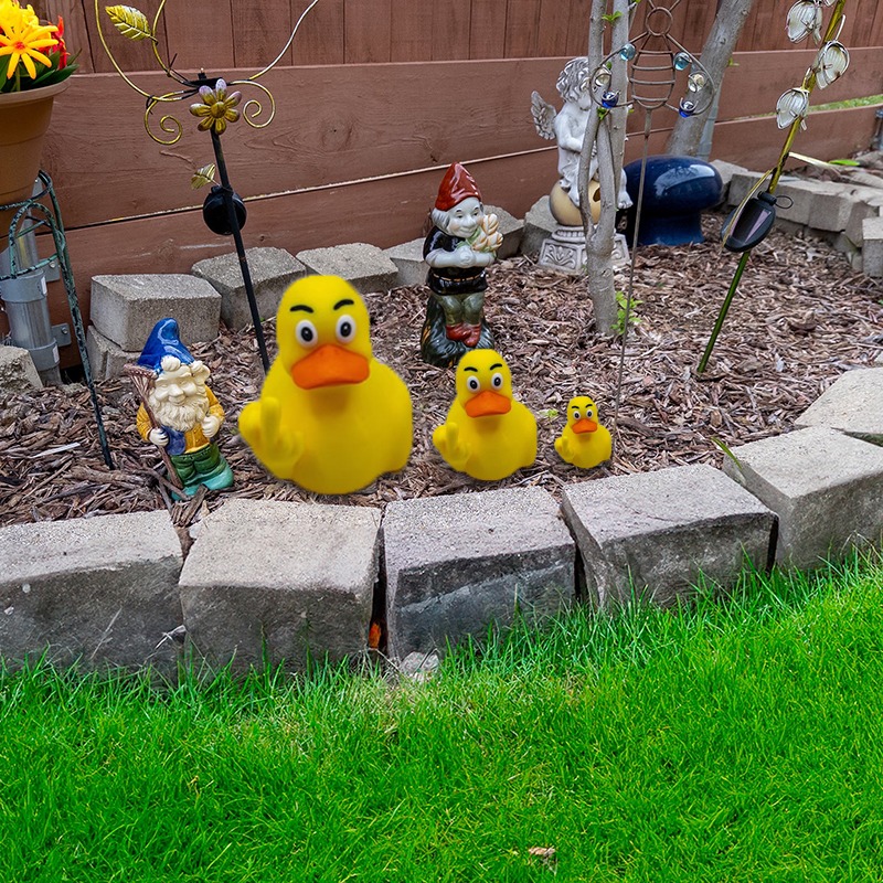 🤣Funny Middle Finger Ducks🖕