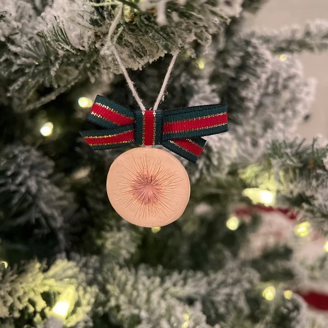 Butthole Ornaments for Assholes