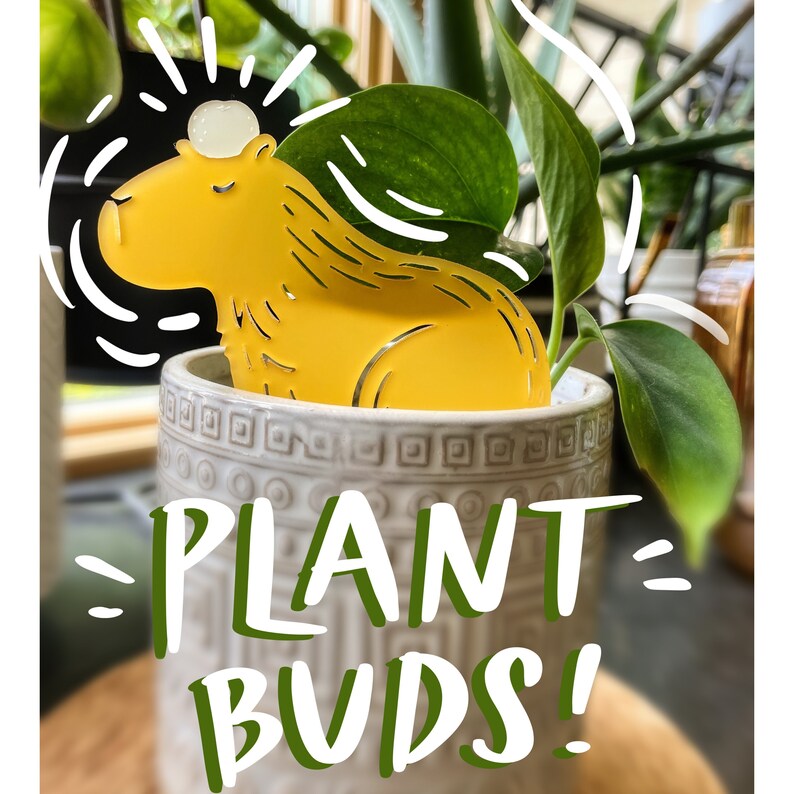 Capybara Plant Buds