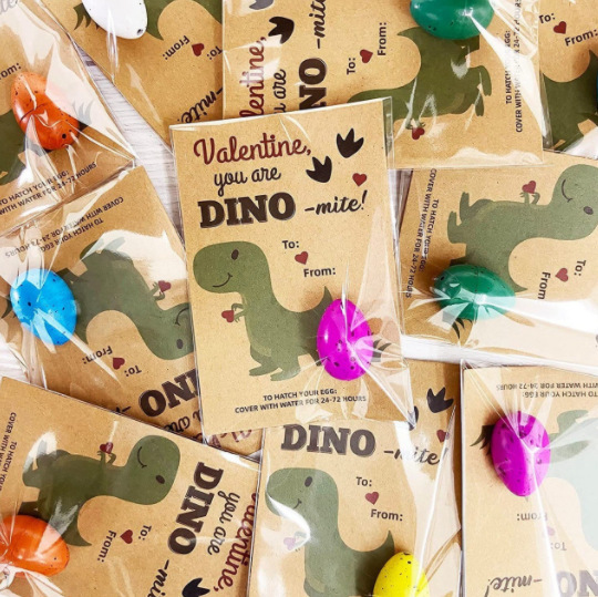 24 Pack Dinosaur Egg Hatching Card-Funny Dino Valentine Exchange Cards for kids