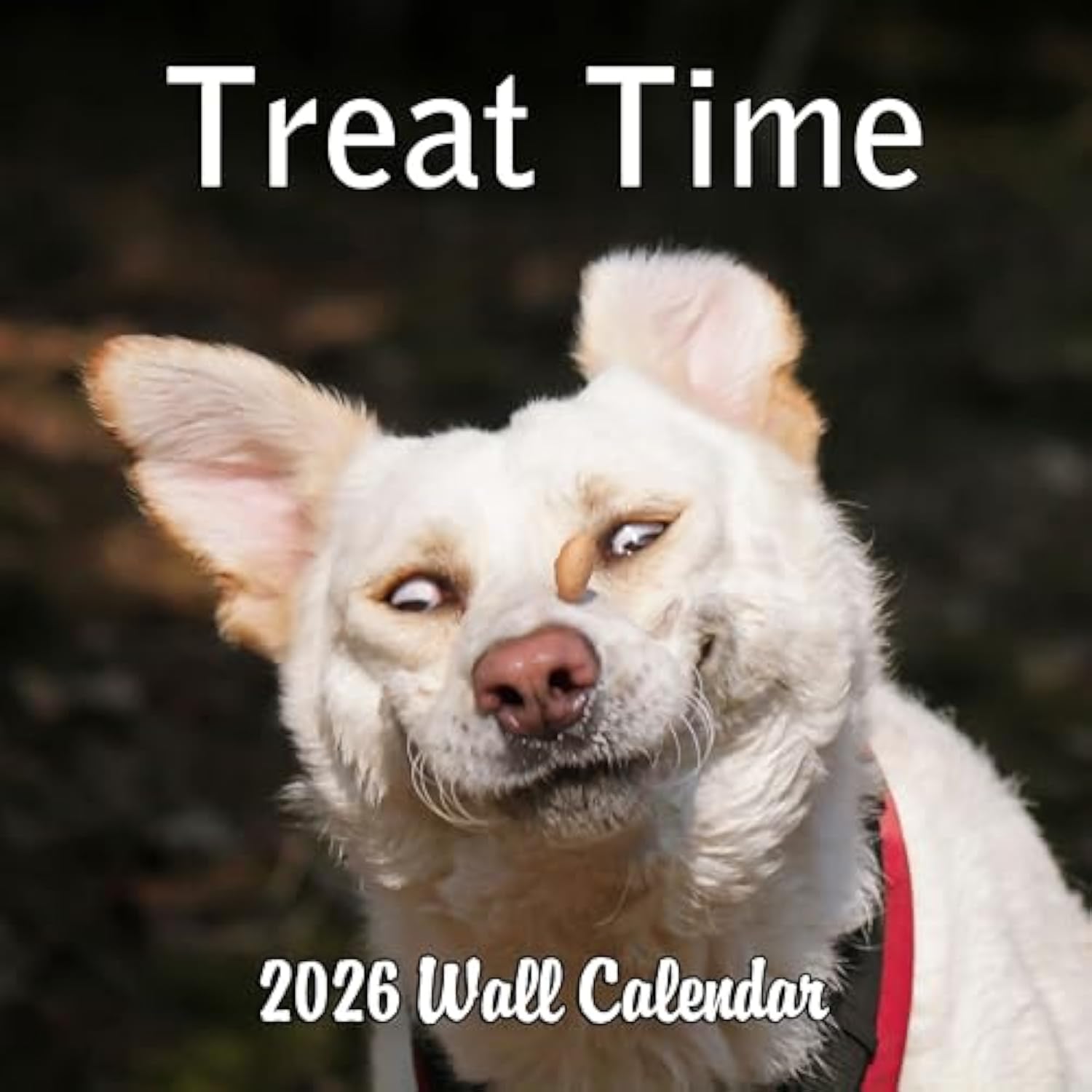2026 Treat Time Monthly Wall Calendar