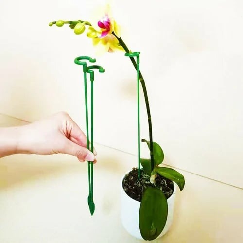 ⏫️Upgrade Fiberglass Plant Support Stake⏫️