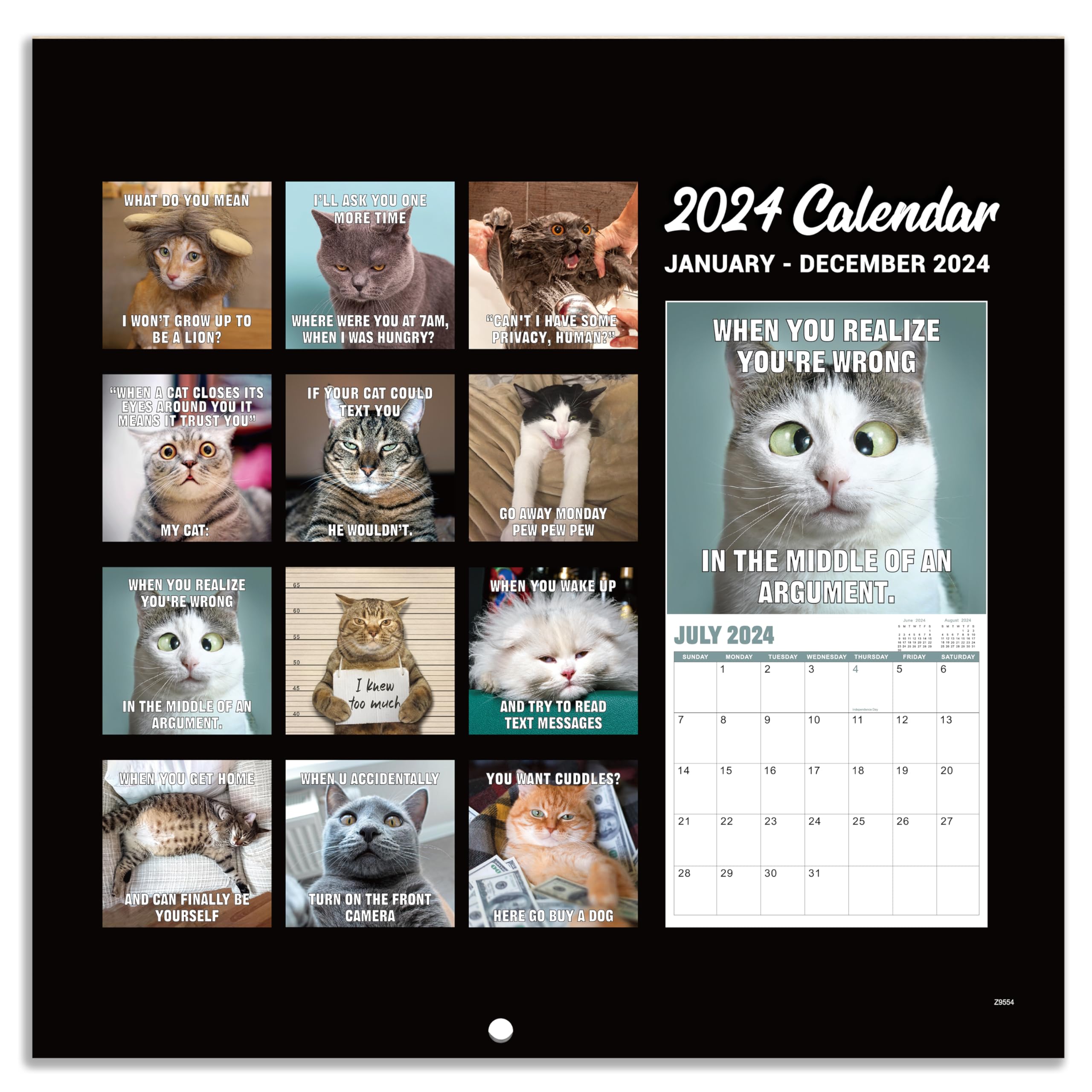 Funny Cat Calendar 2024