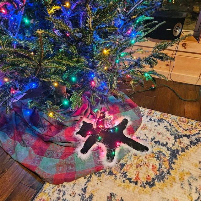 Fried Cat Faux Fur Trimmed Rug