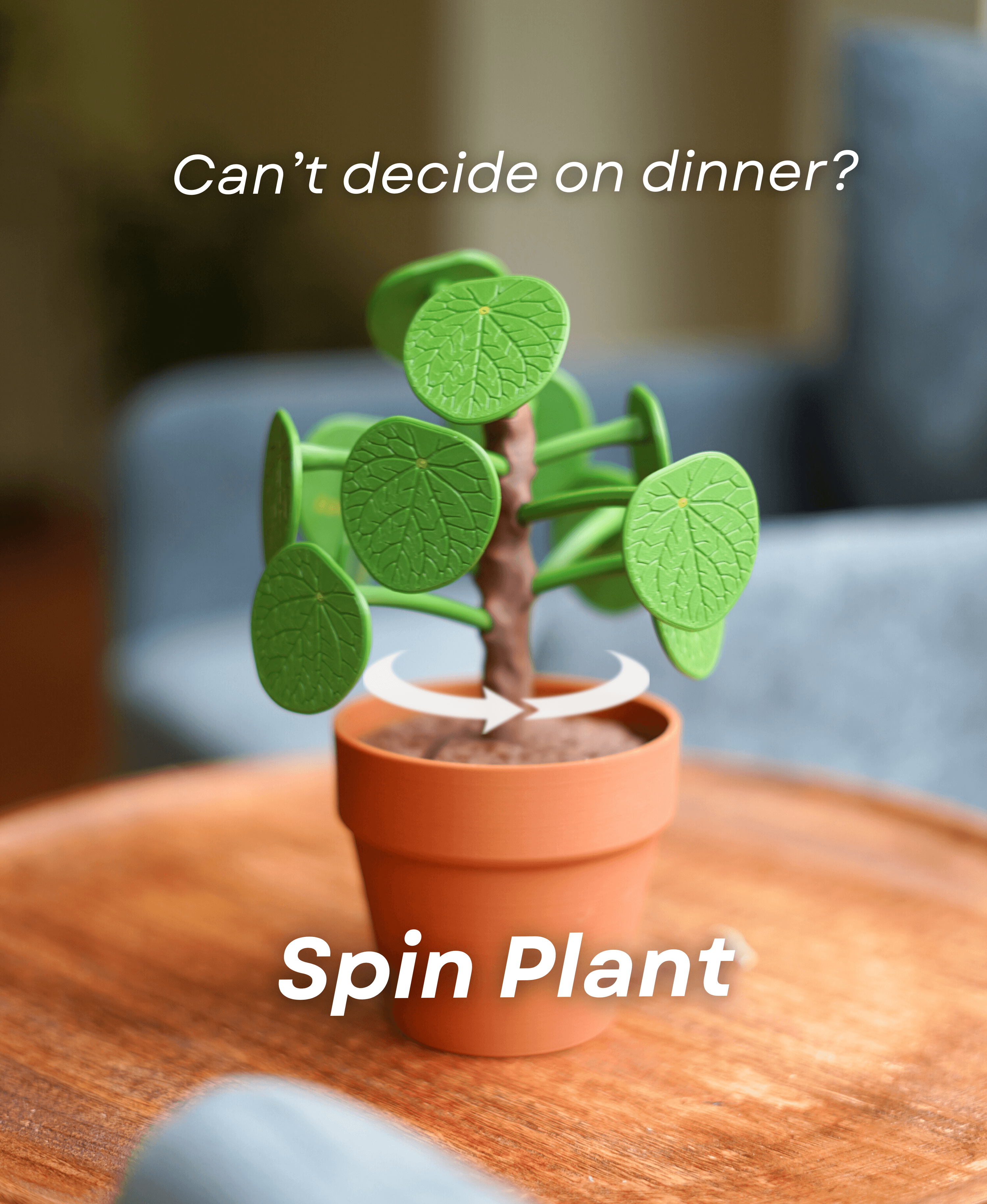 Pilea Food Picker 