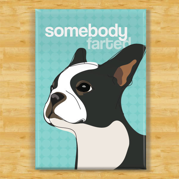 Fun Dog Fridge Magic Magnets