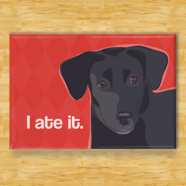 Fun Dog Fridge Magic Magnets