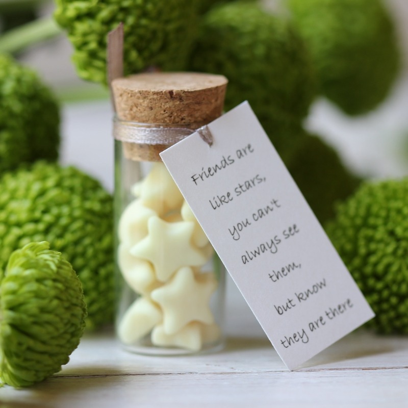 Christmas Best Friend Gift Miniature Bean in a Bottle