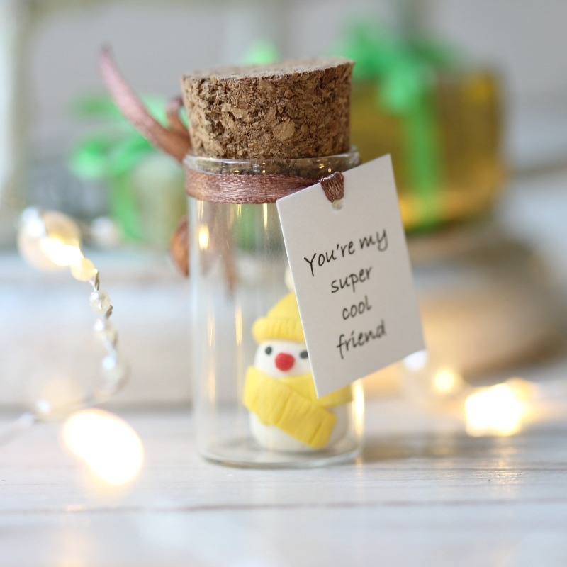 Christmas Best Friend Gift Miniature Bean in a Bottle