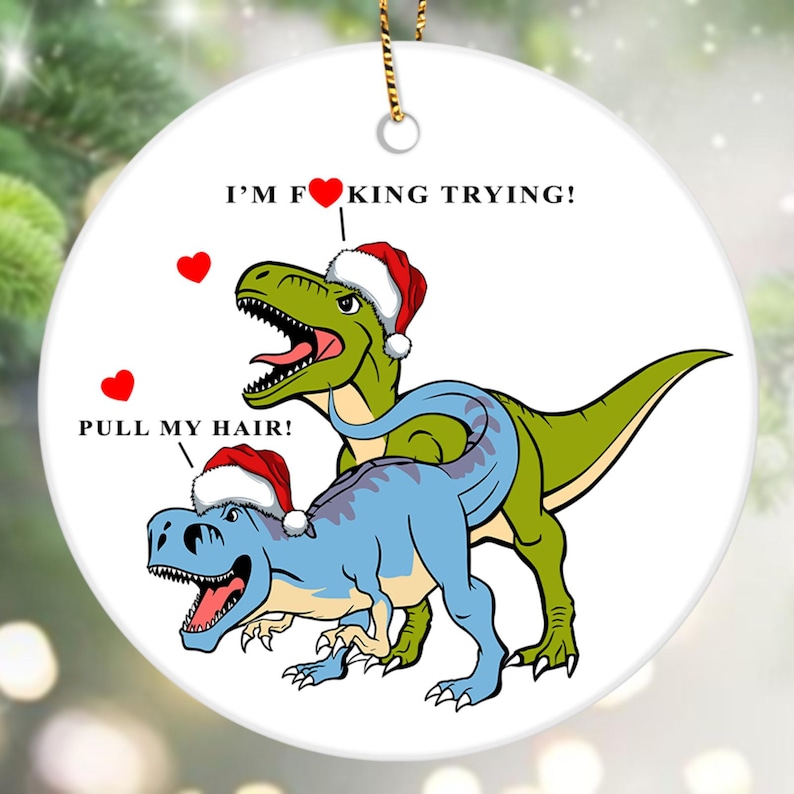 Christmas Funny Ornament