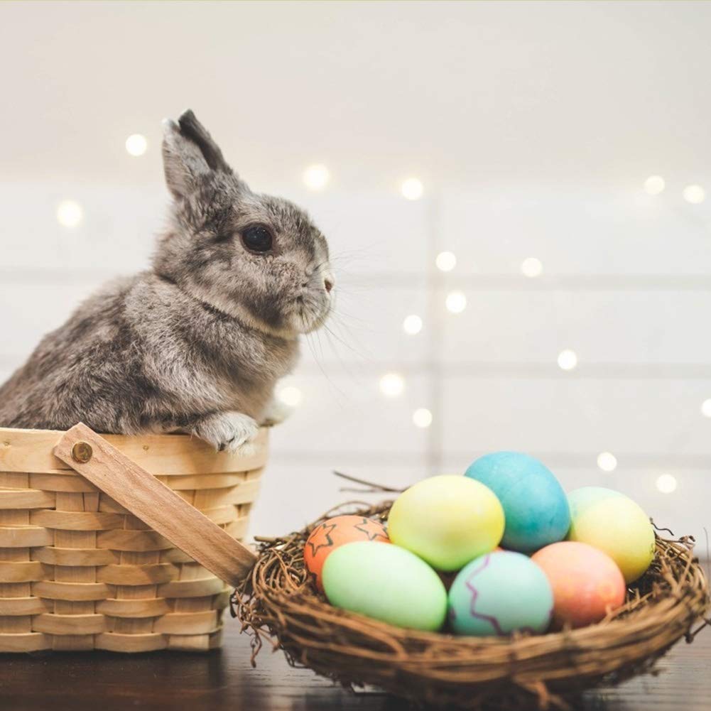 White Wooden Easter Egg -DIY Game for Kids