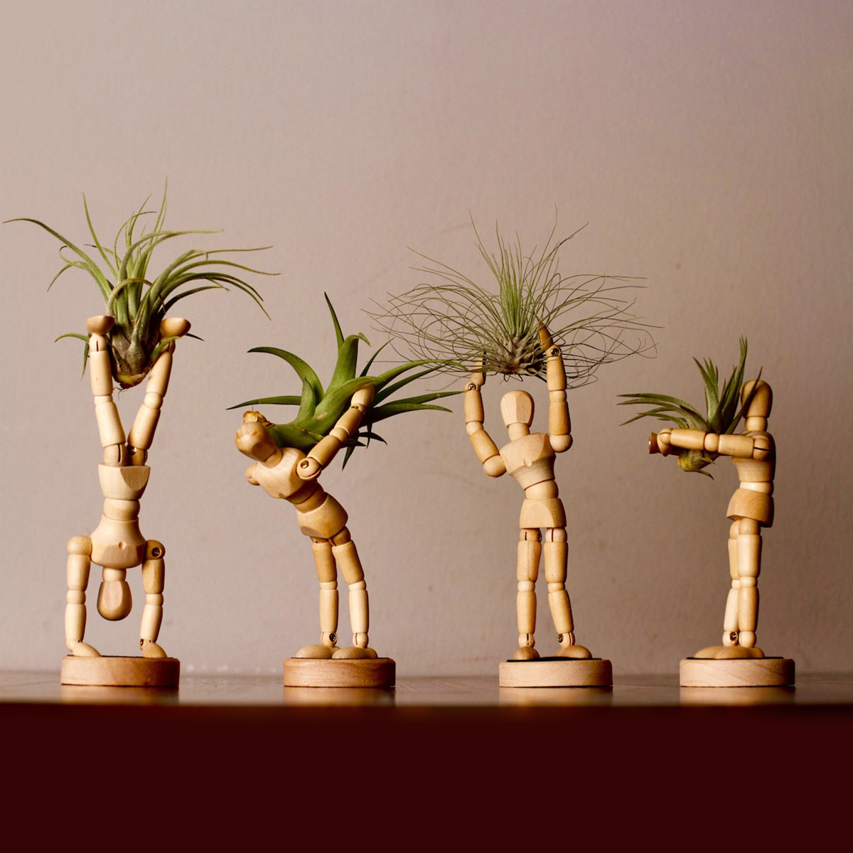 Unique Magnets Planters