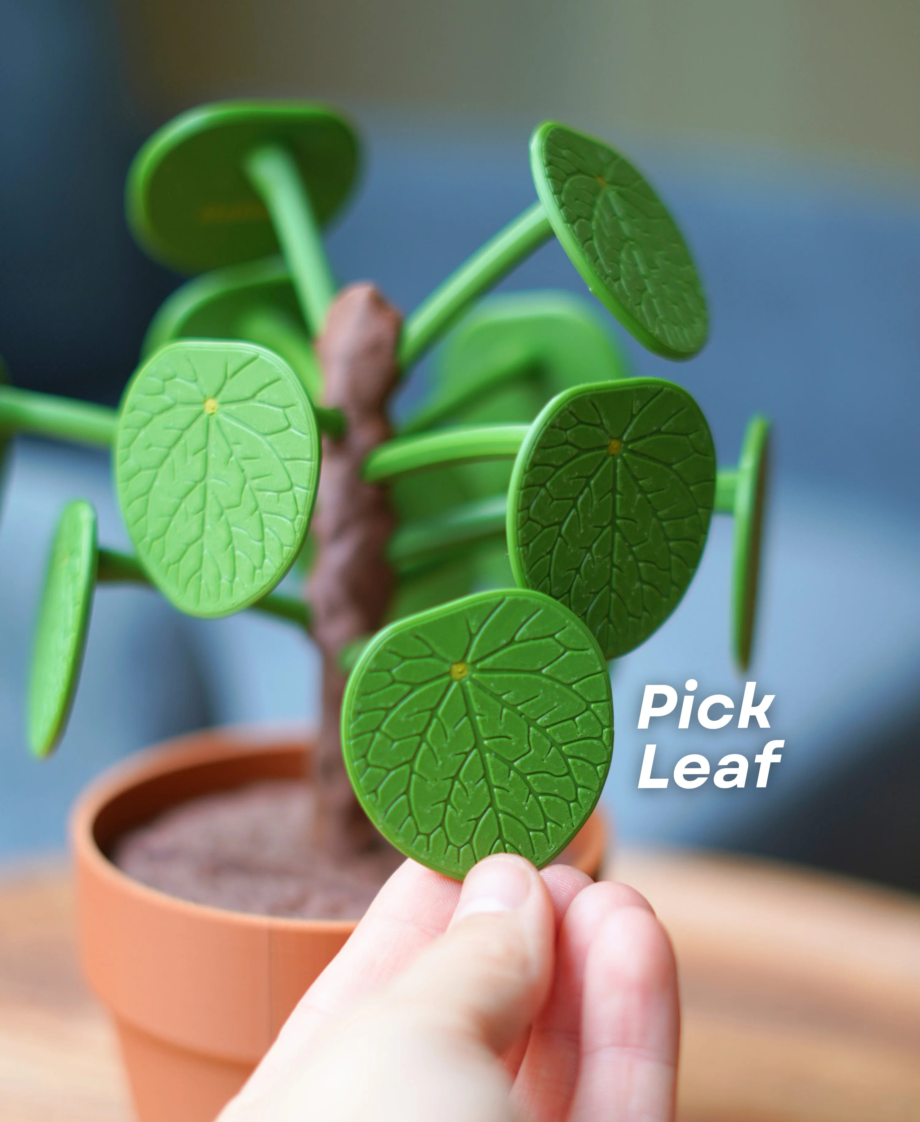 Pilea Food Picker 