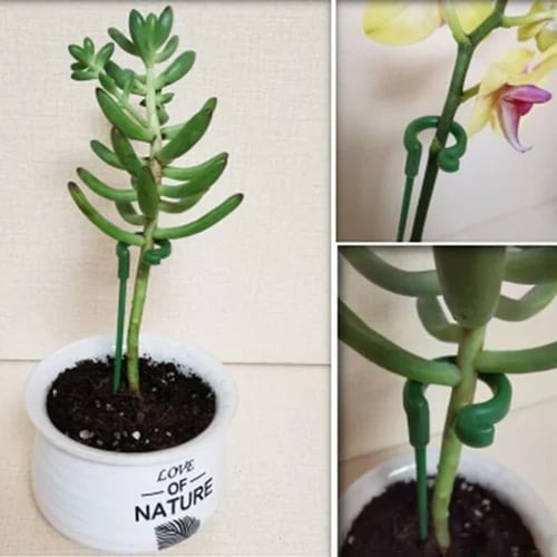 ⏫️Upgrade Fiberglass Plant Support Stake⏫️