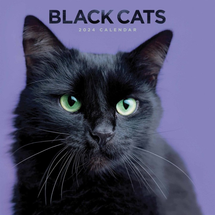 BLACK CATS CALENDAR 2024 BLACK CATS CALENDAR 2024