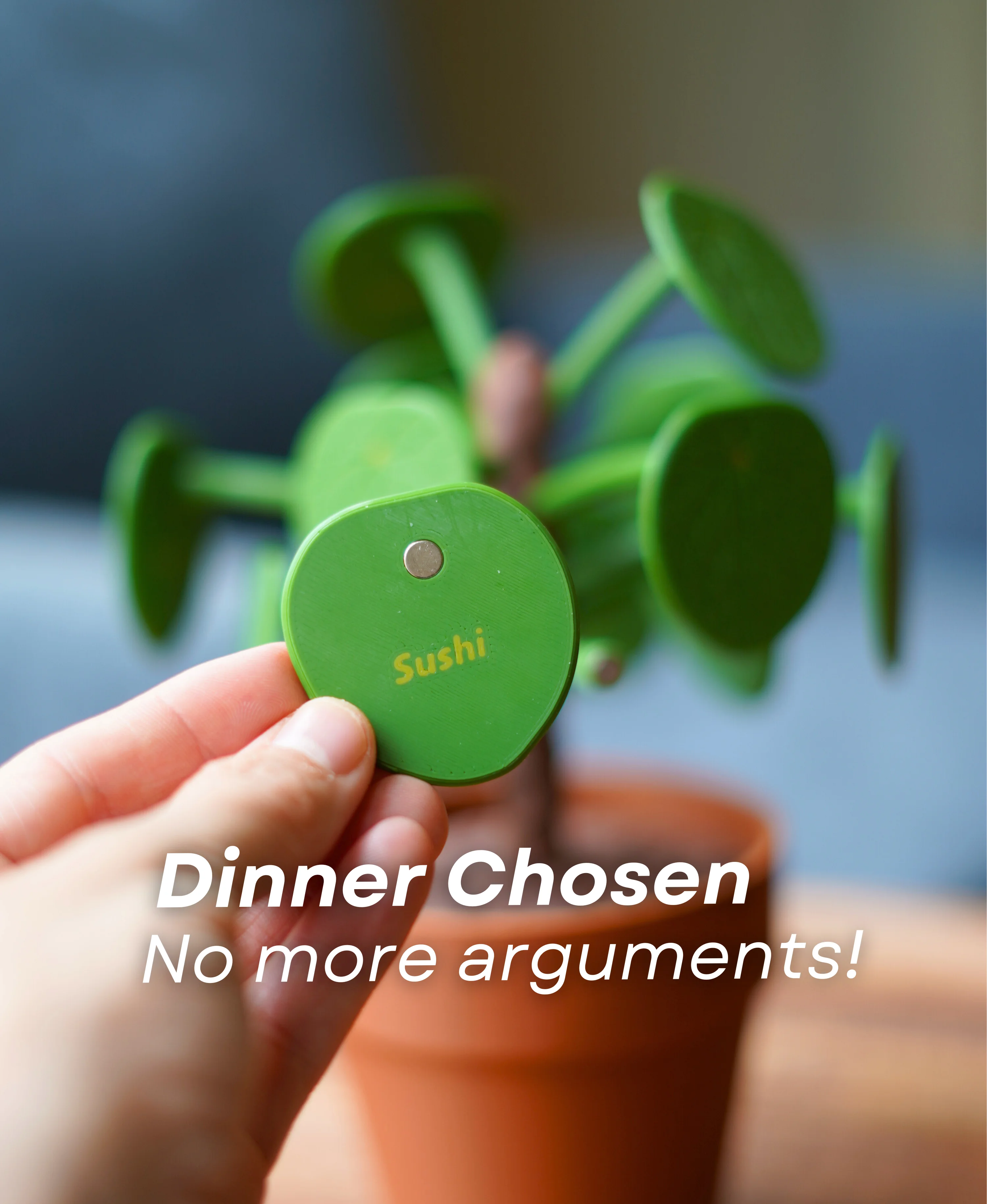 Pilea Food Picker 