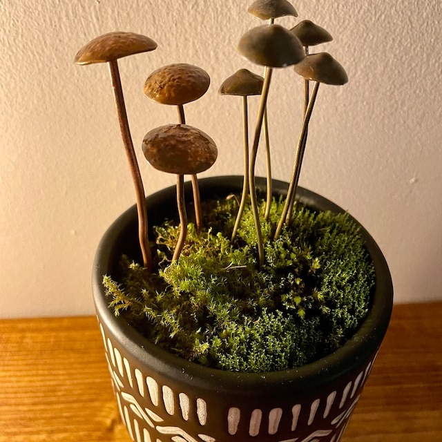 Handcrafted Brass Mushroom