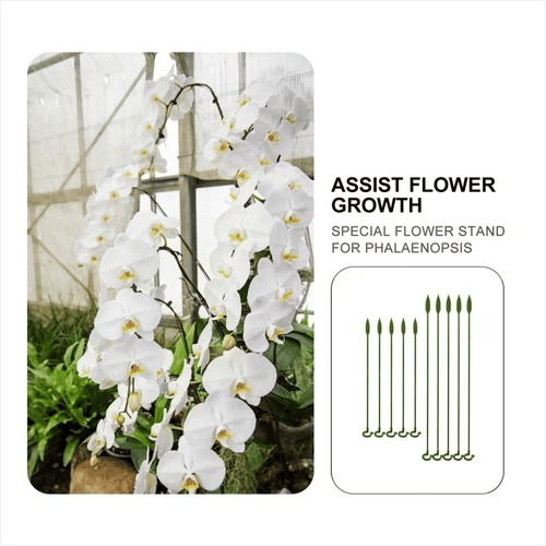 ⏫️Upgrade Fiberglass Plant Support Stake⏫️