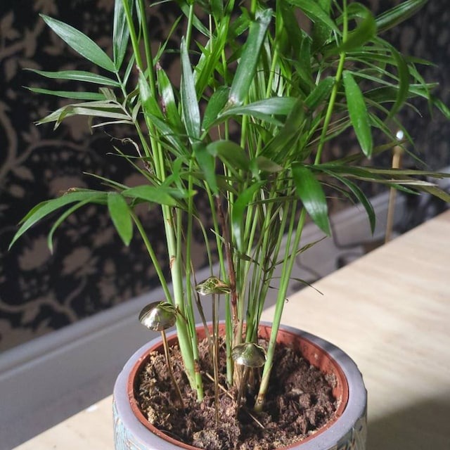 Handcrafted Brass Mushroom