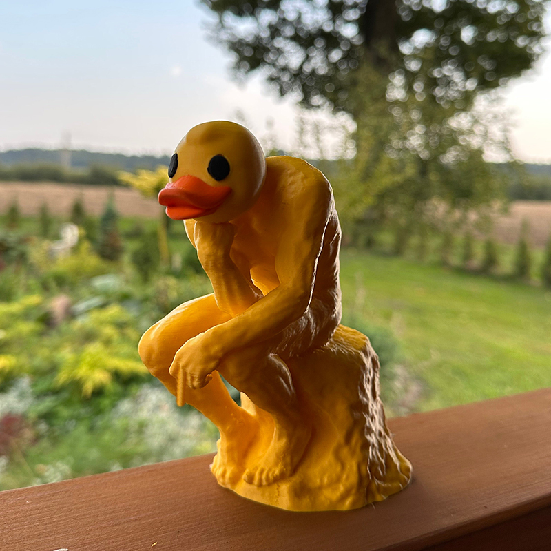 New Funny Thinker Middle Finger Duck