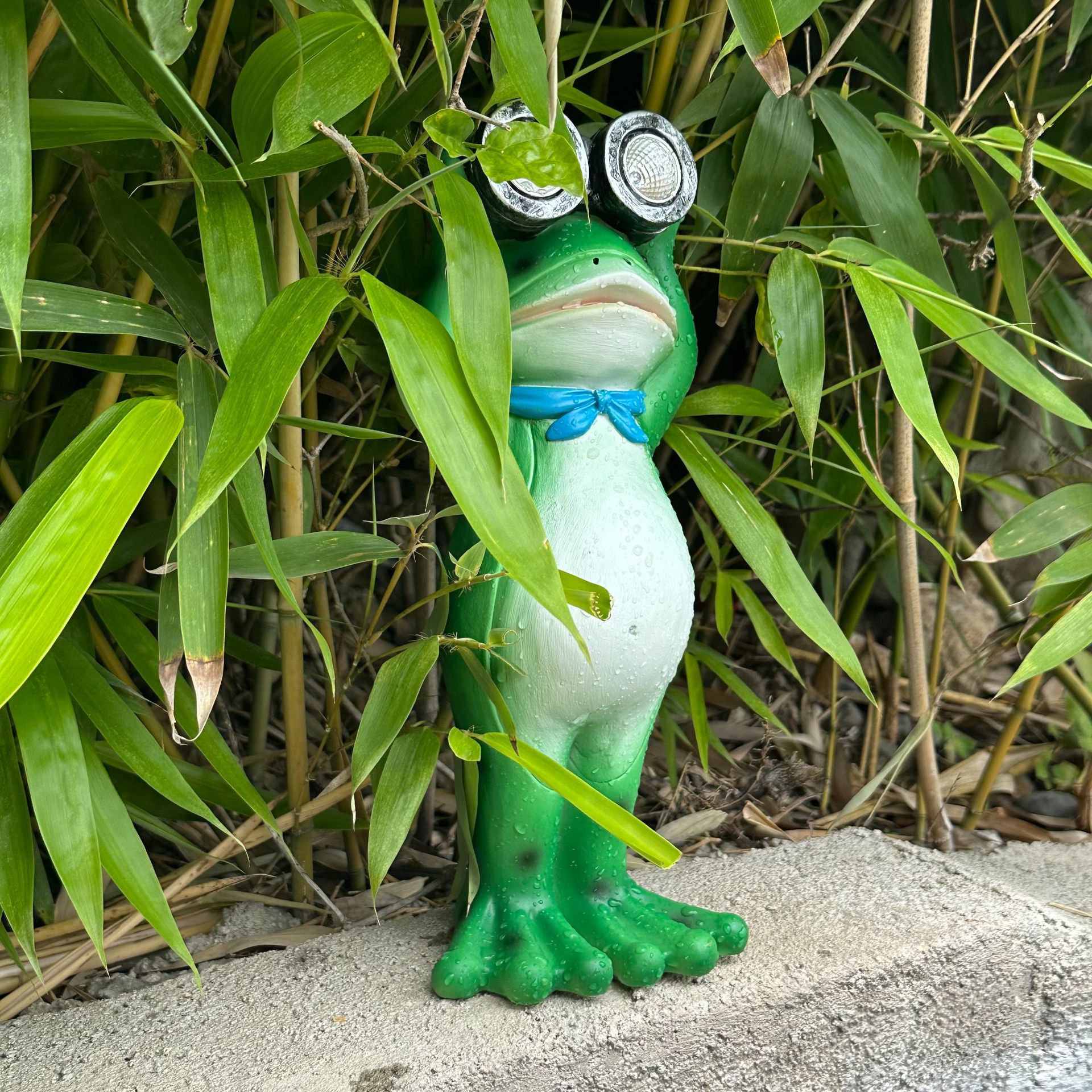 🐸FROG TELESCOPE SOLAR LAMP