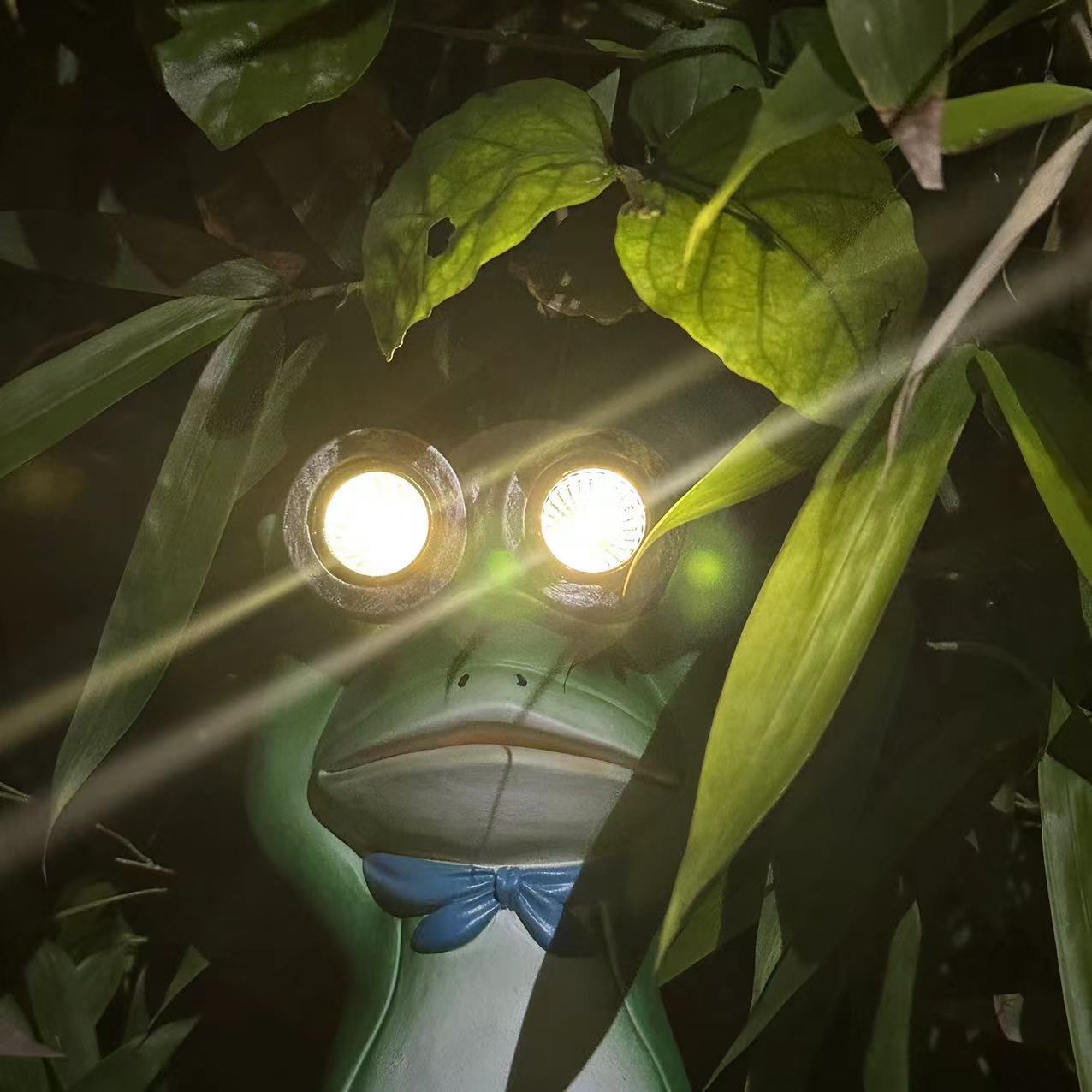 🐸FROG TELESCOPE SOLAR LAMP
