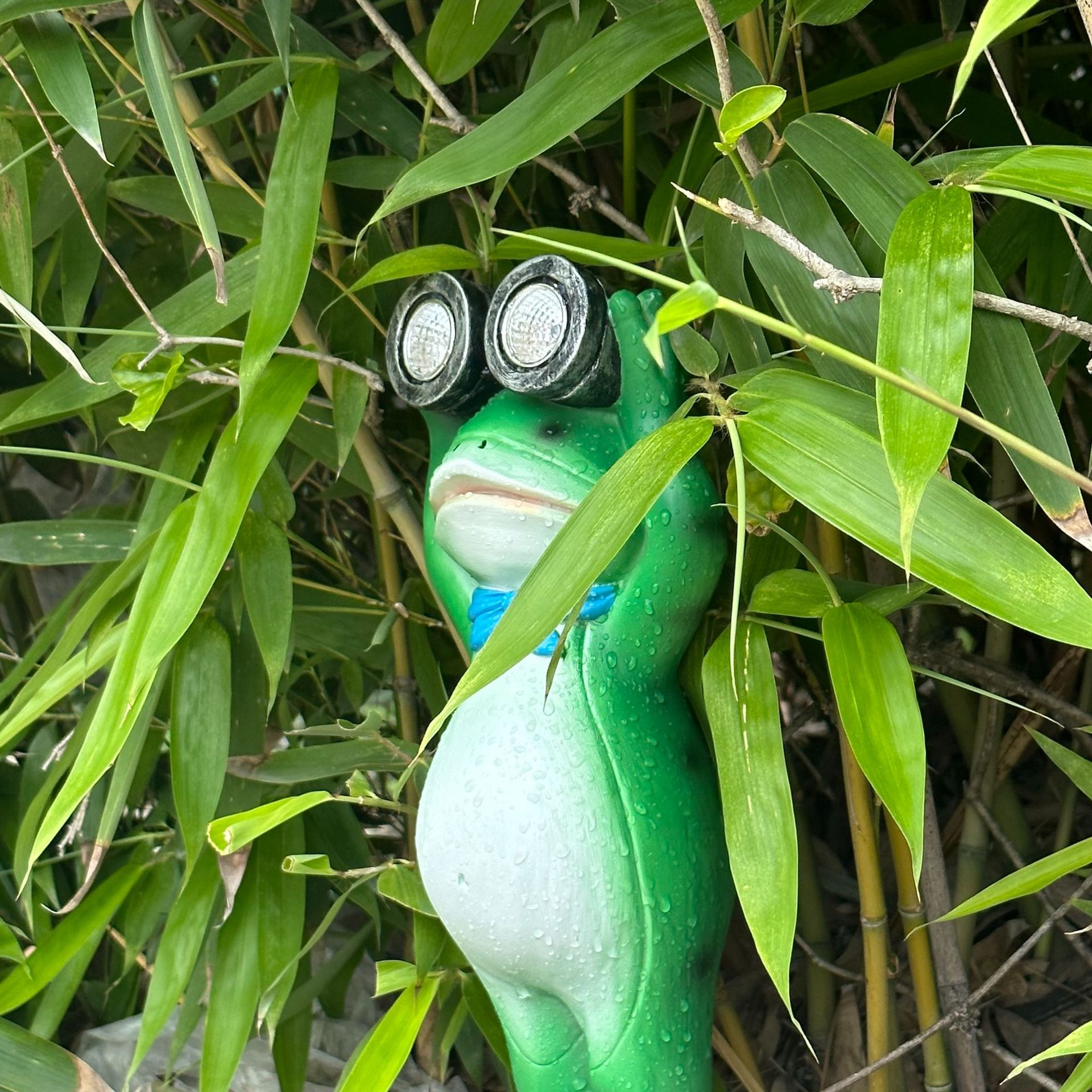 🐸FROG TELESCOPE SOLAR LAMP