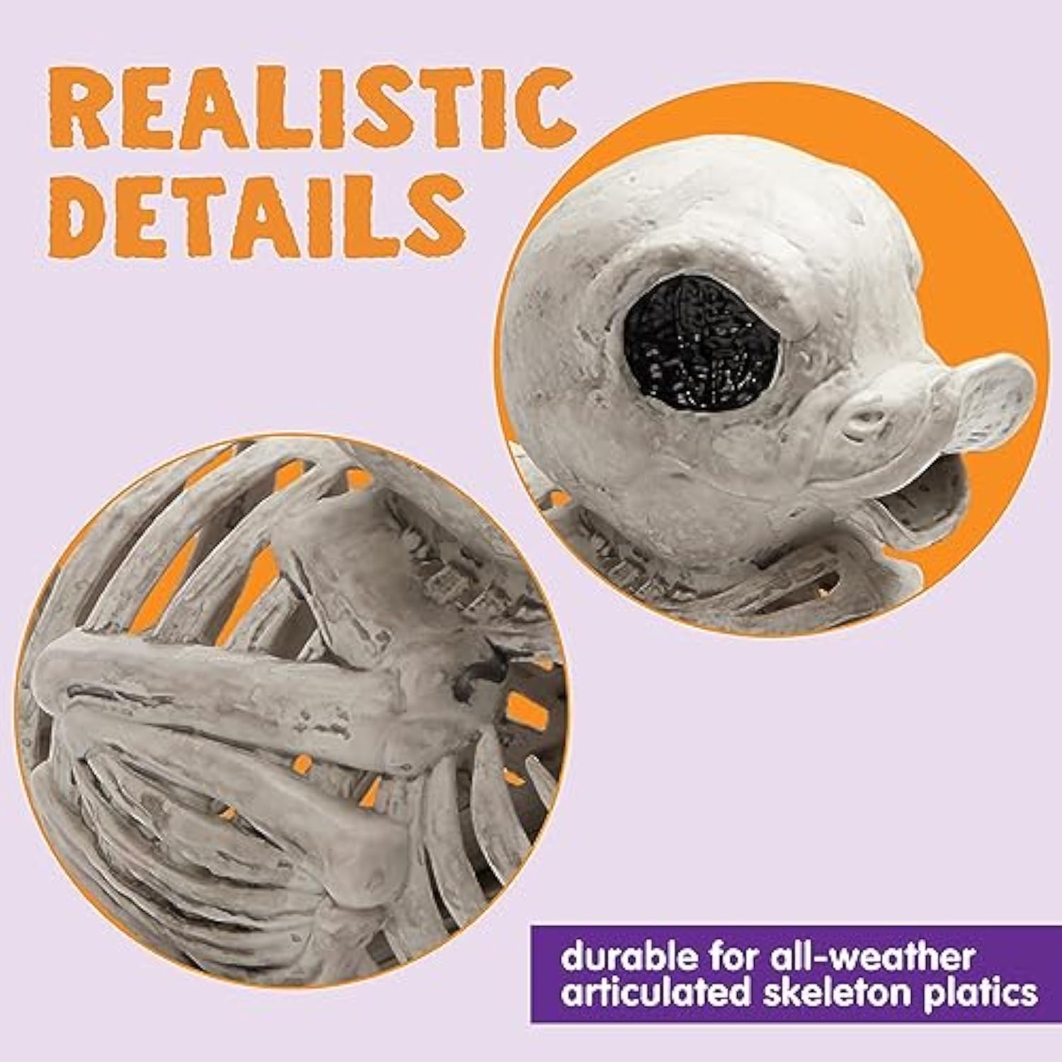 🦆Halloween Duck Skeleton💀