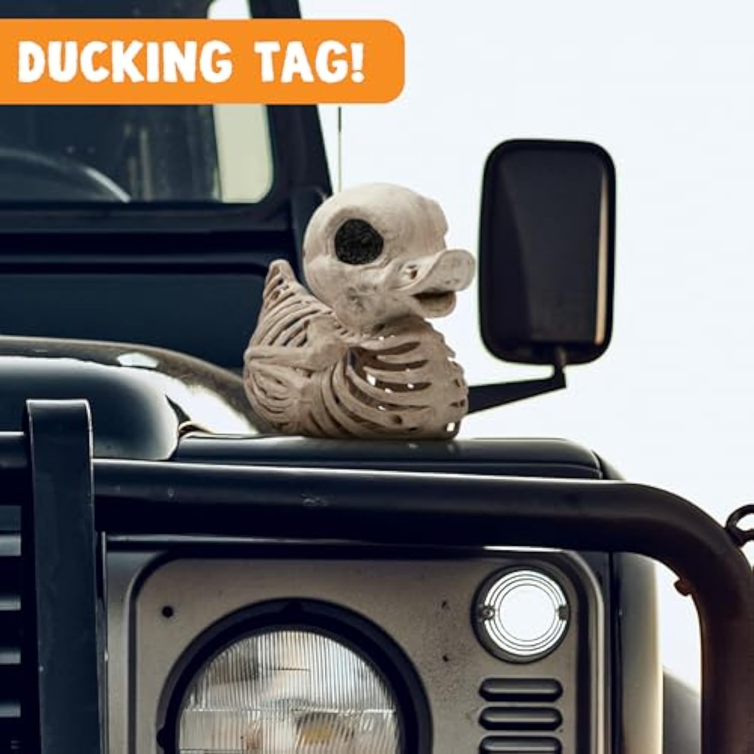 🦆Halloween Duck Skeleton💀