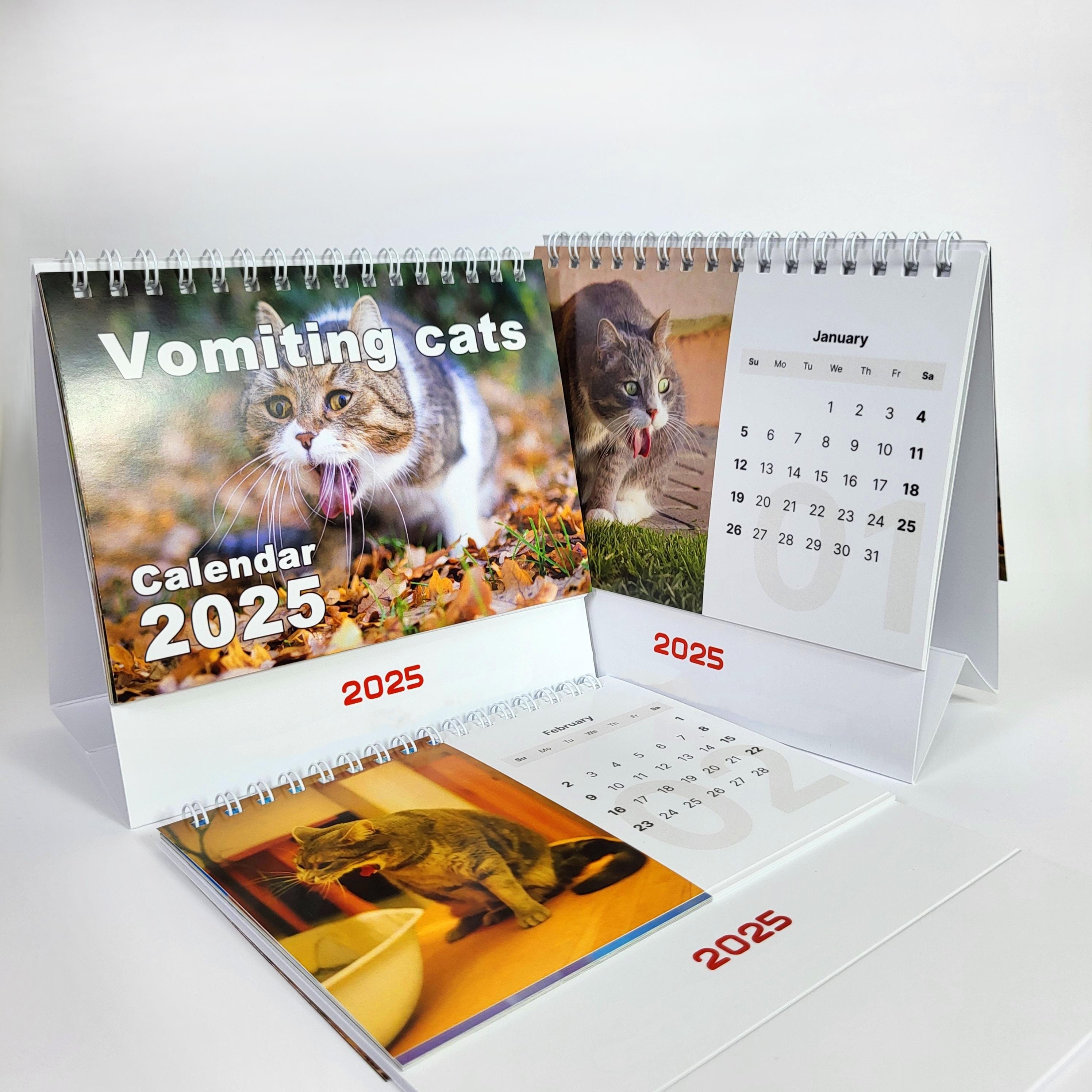  😹Vomiting Cats 2025 Desk Calendar📅